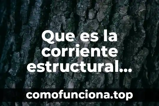 Que es una barra estructural 4 Que es la corriente estructural funcionalista