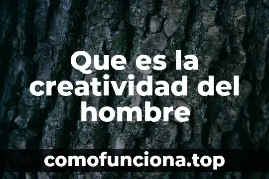 Como tratar a un hombre que es indiferente contigo 5 Que es la creatividad del hombre