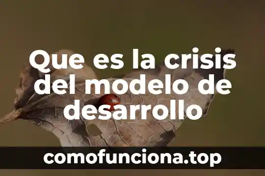 Que es crisis severa en historia 8 Que es la crisis del modelo de desarrollo