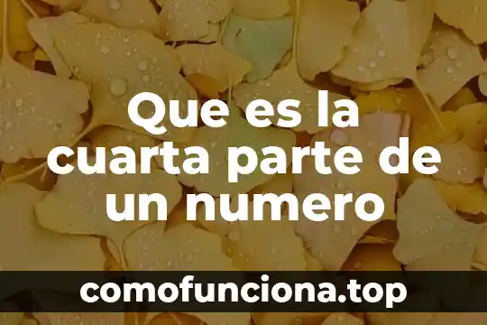 Qué es el número de cuenta en mi Telcel 8 Que es la cuarta parte de un numero