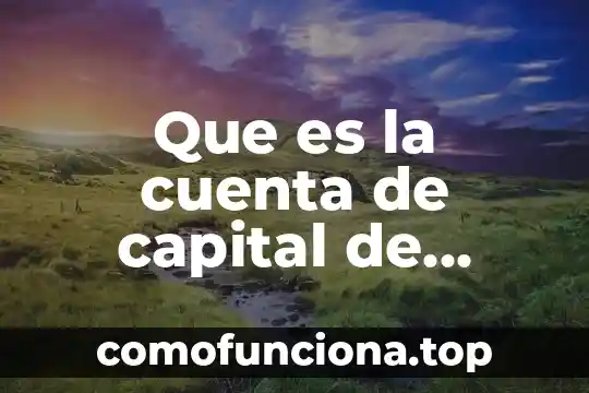 Que es una falla de canbus en planta 8 Que es la cuenta de capital de aportación