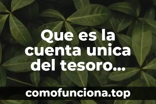 Que es el concepto compensacion nacional unica 7 Que es la cuenta unica del tesoro publico