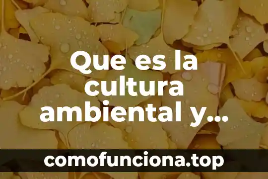 Que es la cultura jarocha comida 4 Que es la cultura ambiental y para que sirve