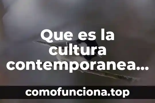 Qué es una sociedad contemporánea 3 Que es la cultura contemporanea de leon gto