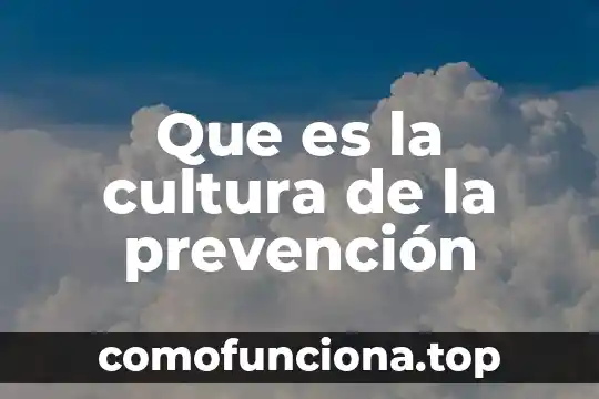 Que es el quimico anandamide 4 Que es la cultura de la prevención