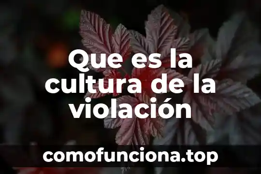 Que es la democratización de la cultura 4 Que es la cultura de la violación