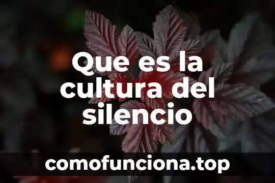 Qué es la cultura hispanoamericana 7 Que es la cultura del silencio