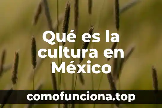 Qué es cultura corporativa de la empresa tj de mexico 3 Qué es la cultura en México