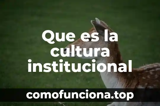 Que es la ontologia cultura 3 Que es la cultura institucional