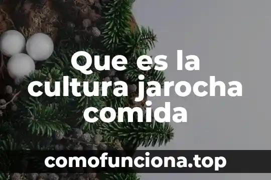 Que es la cultura ambiental y para que sirve 5 Que es la cultura jarocha comida