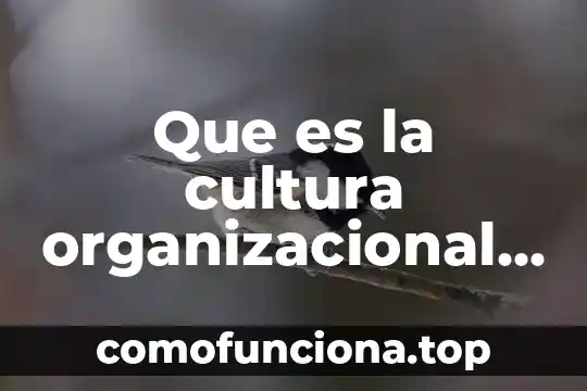 Que es la cultura ambiental y para que sirve 4 Que es la cultura organizacional segun schein