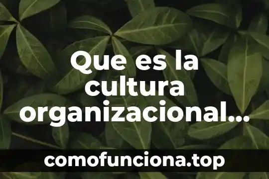 Que es una implicaciones en la cultura organizacional 8 Que es la cultura organizacional y como aplicarla