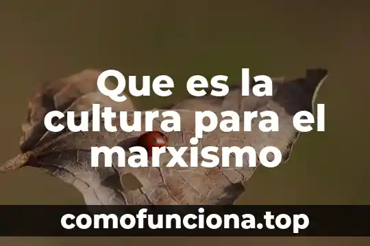 Que es cultura idiomatica 6 Que es la cultura para el marxismo