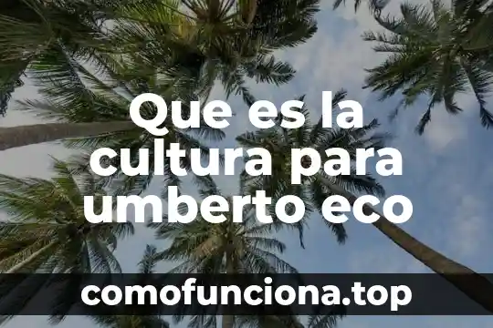 Qué es la cultura física en educación física 6 Que es la cultura para umberto eco