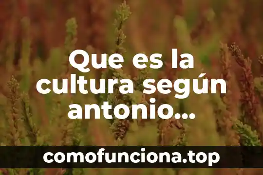 Qué es un regla según autores de libros 6 Que es la cultura según antonio gramsci