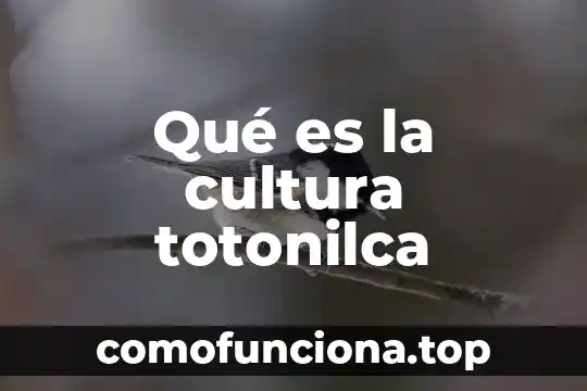 Qué es conocimiento prefilosófico en la cultura mesopotámica 5 Qué es la cultura totonilca