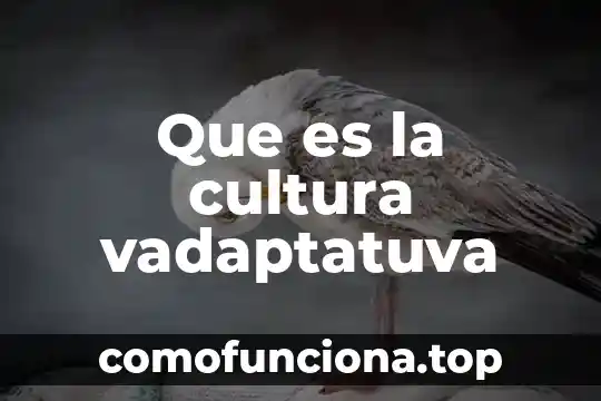 Que es el significado significante referente y entidad cultural 8 Que es la cultura vadaptatuva