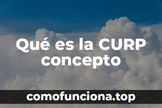 Tiro con arco que es significado y concepto 5 Qué es la CURP concepto