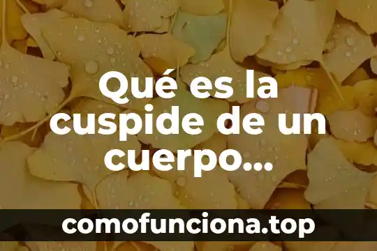 Que es metodo cientifico historia 3 Qué es la cuspide de un cuerpo geométrico