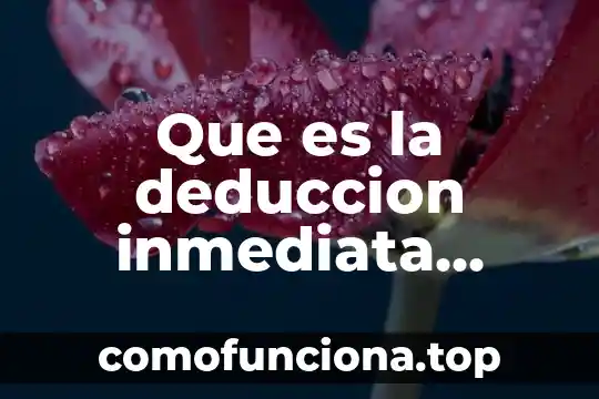 Que es el funcionamiento cognitivo 4 Que es la deduccion inmediata caracteristicas