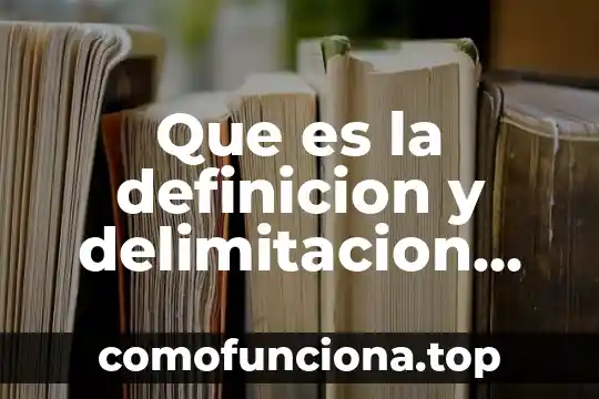 Que es una persona con delimitacion 8 Que es la definicion y delimitacion de un tema ejemplo