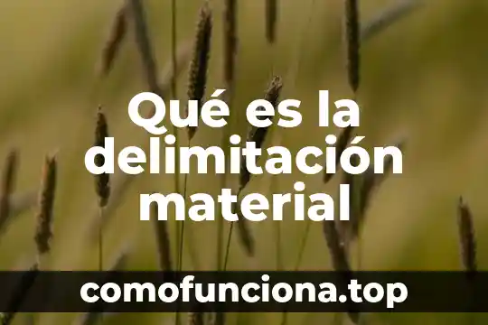 Que es una persona con delimitacion 4 Qué es la delimitación material