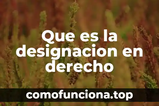 Que es el conocimiento cientifico de derecho 8 Que es la designacion en derecho
