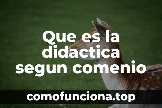 Que es investigacion didactica 4 Que es la didactica segun comenio