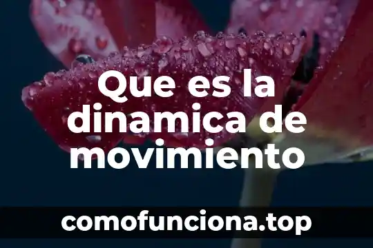 Que es un inventario de lento movimiento 7 Que es la dinamica de movimiento