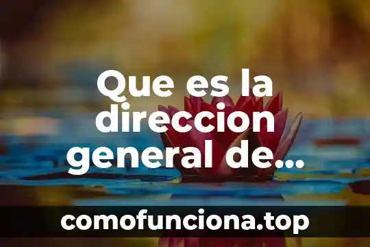 Que es el premio iberoamericano de la calidad 4 Que es la direccion general de calidad en salud
