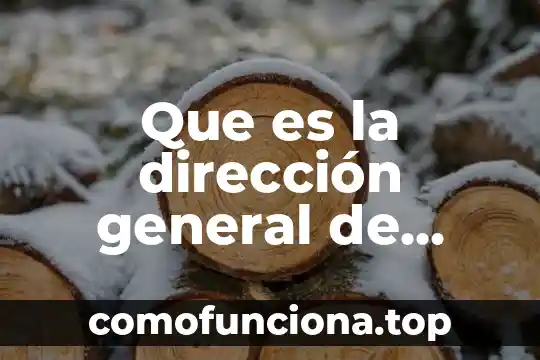 Que es una estructura social y en que consiste 4 Que es la dirección general de comunicación social
