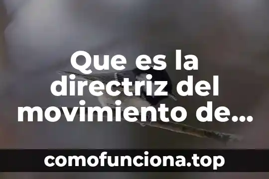Que es el movimiento de traslacion y sus efectos 5 Que es la directriz del movimiento de traslacion