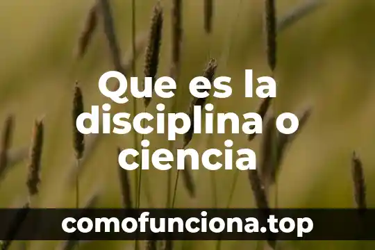 Que es la disciplina del movimiento 6 Que es la disciplina o ciencia