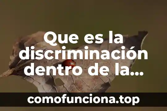 Que es la teoria del color historia 4 Que es la discriminación dentro de la familia