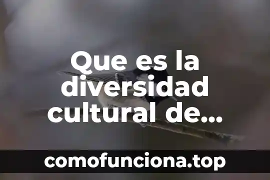 Que es relativismo cultural ejemplos 6 Que es la diversidad cultural de mexico para niños