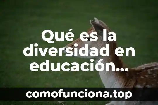Qué es ritmo en educación física definición 6 Qué es la diversidad en educación física según autores