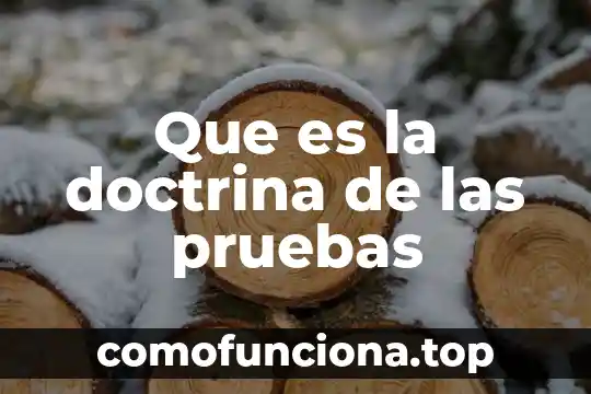Que es la doctrina administrativa 3 Que es la doctrina de las pruebas