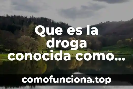 Planta autóctona que es conocida como ruda siria 5 Que es la droga conocida como perico