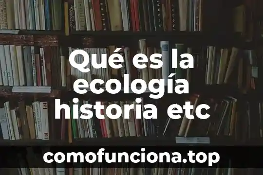 Que es la contrarreforma historia 8 Qué es la ecología historia etc