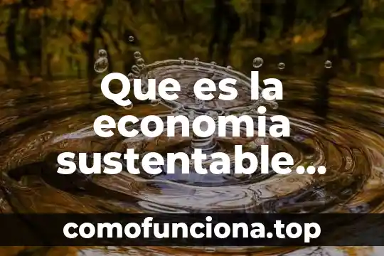 Que es el arte renacentista definicion 8 Que es la economia sustentable definicion