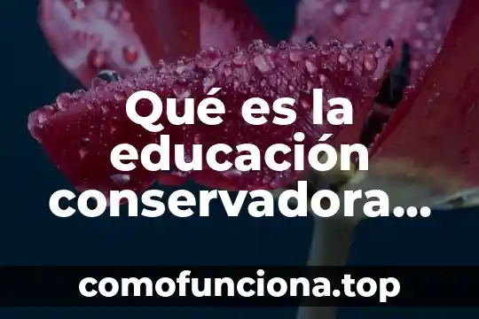 Que es la sinceridad en los valores 6 Qué es la educación conservadora según Dewey
