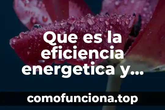 Que es medicina energética 8 Que es la eficiencia energetica y medio ambiente