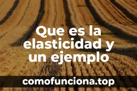 Qué es elasticidad significado 7 Que es la elasticidad y un ejemplo