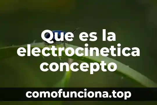 Que es labaro patrio concepto 5 Que es la electrocinetica concepto