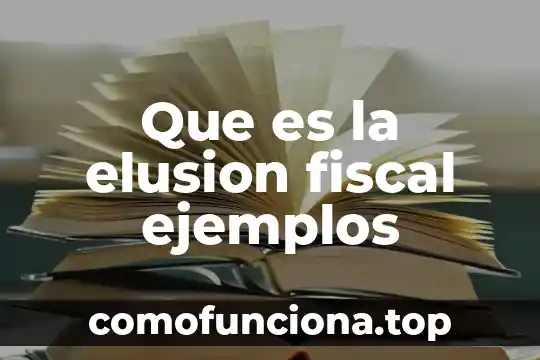 Que es una leyenda fiscal 6 Que es la elusion fiscal ejemplos