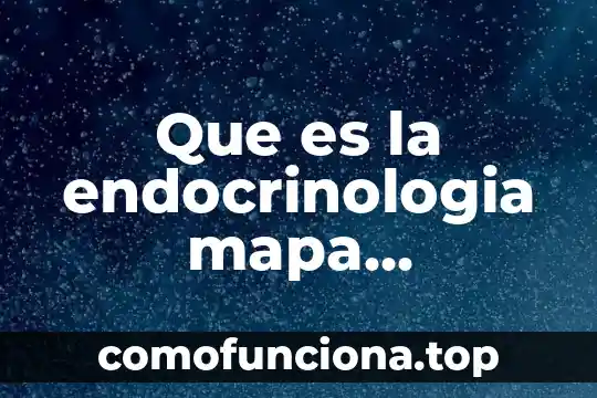 Mapa conceptual de que es un mapa en geografía 5 Que es la endocrinologia mapa conceptual