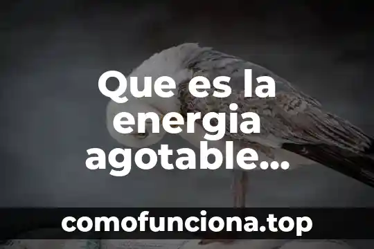 Que es el valor maximo de recuperación 3 Que es la energia agotable alternativa ambiental y convencional