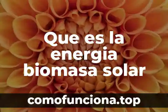 Qué es la energía del sol 7 Que es la energia biomasa solar