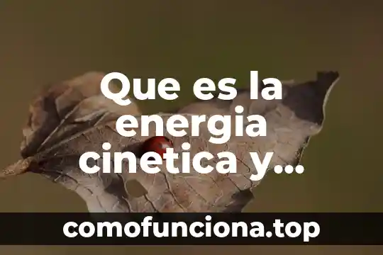Qué es la teoría cinética corpuscular 7 Que es la energia cinetica y potencial en fisica