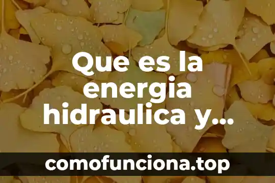 Que es presion de trabajo wp en hidraulica 4 Que es la energia hidraulica y quienes la componentes